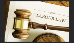 UAE Labour Law